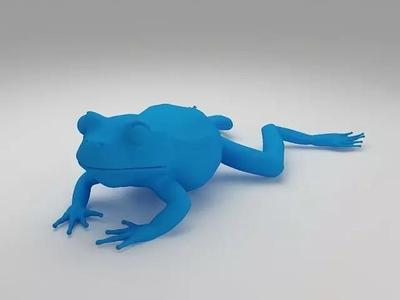 Frog 3D Model