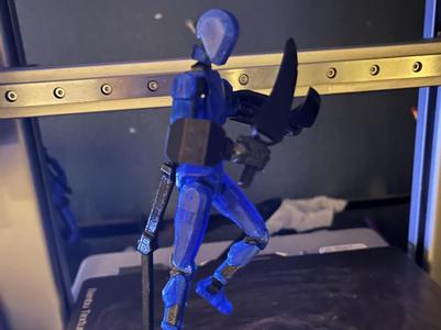 Dummy 13 arm shields