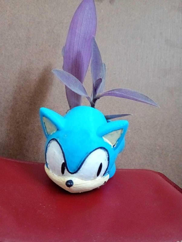 Pot of sonic