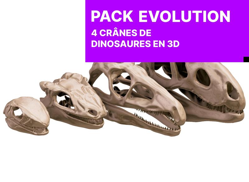 Evolution Pack: 4 Reptile/Dinosaur Skulls