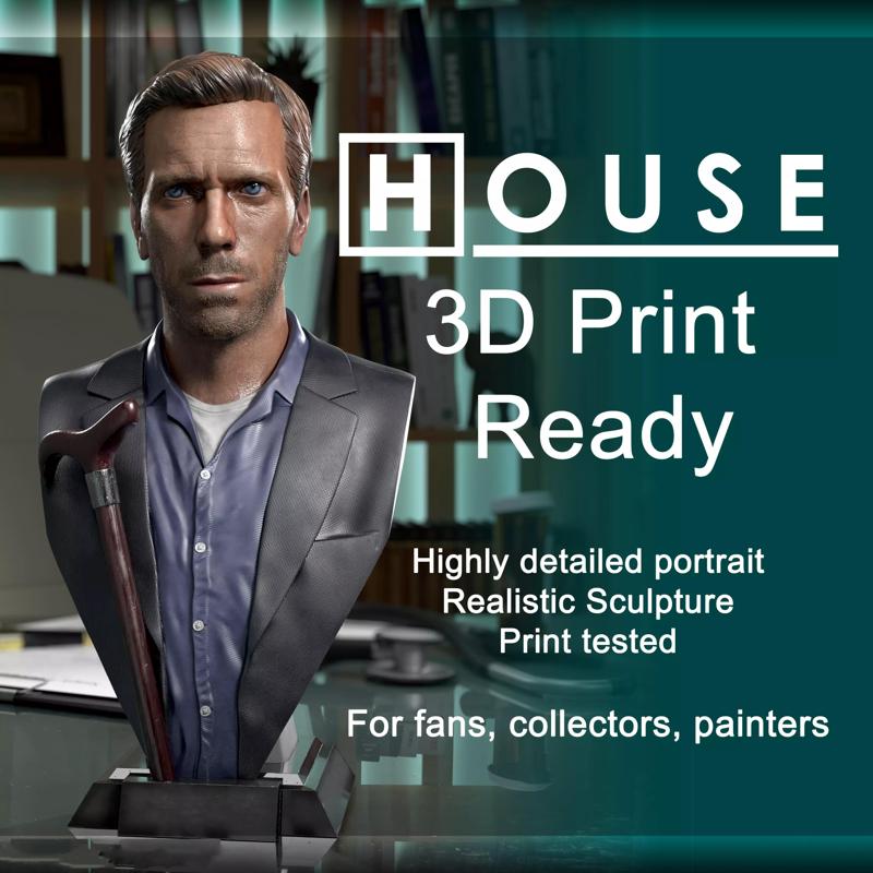 Dr House - Hugh Laurie Portrait by Henrique Froes