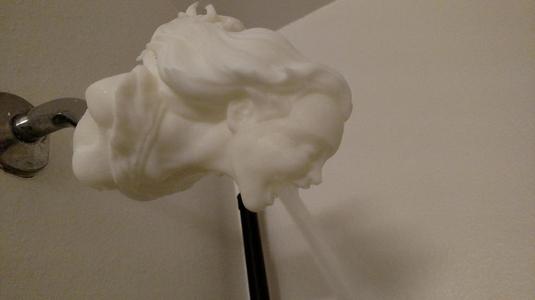 The Joyful Shower Head