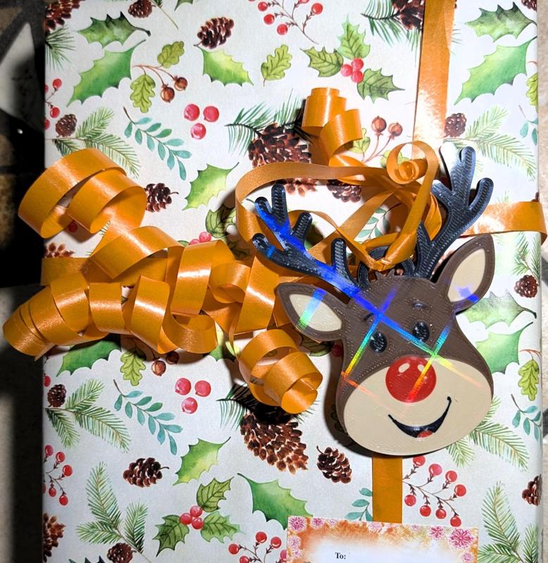 Rudolph the raindeer