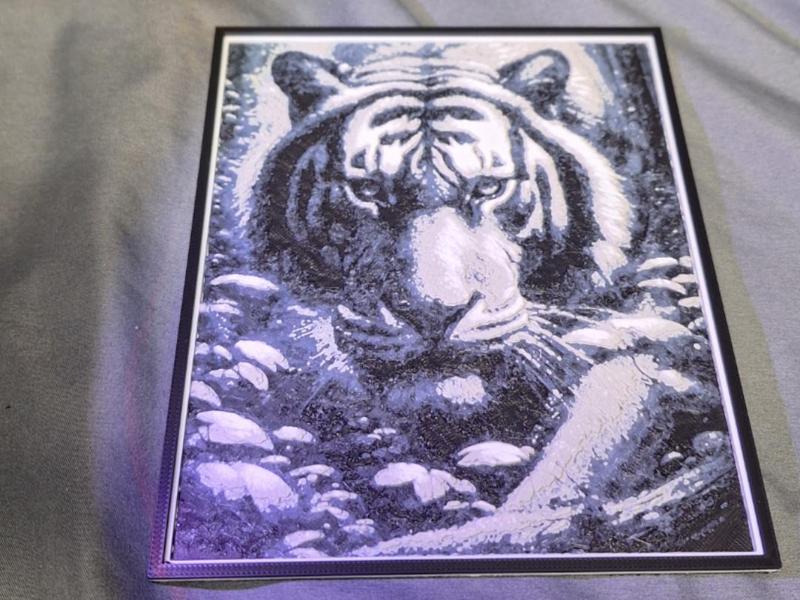 B/W Tiger 