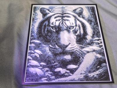 B/W Tiger 