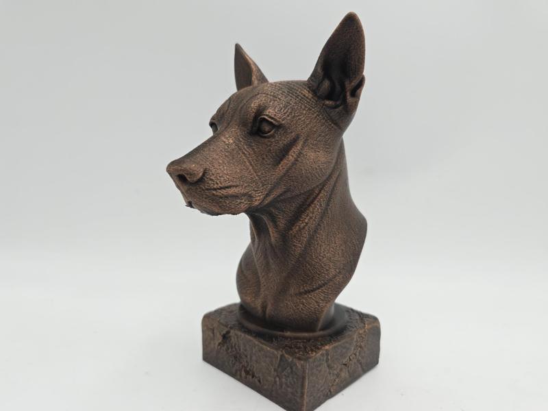 XOLO DOG BUST