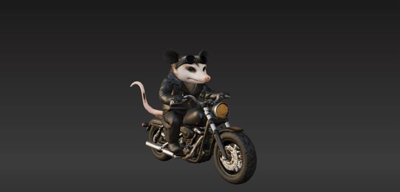 Rider Opossum