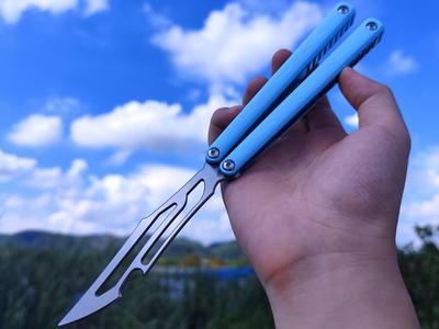 al kite 3Dprint scales