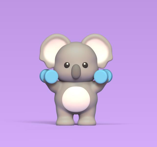 Koala Working Out