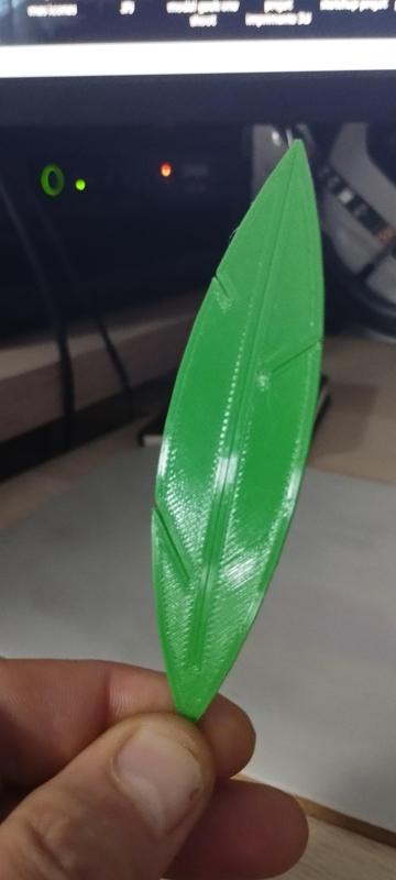 Green leaf