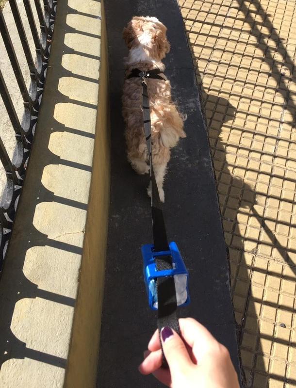 Dog Waste Bag Dispenser for Leash