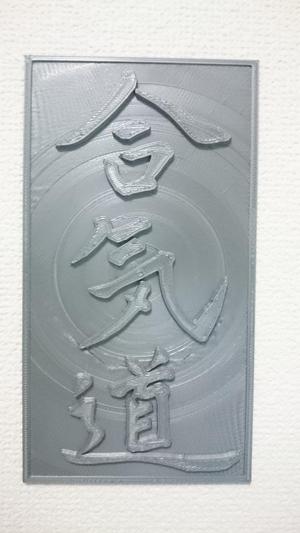Aïkido panel