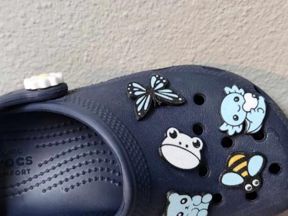 Frog croc charm (kids crocs)
