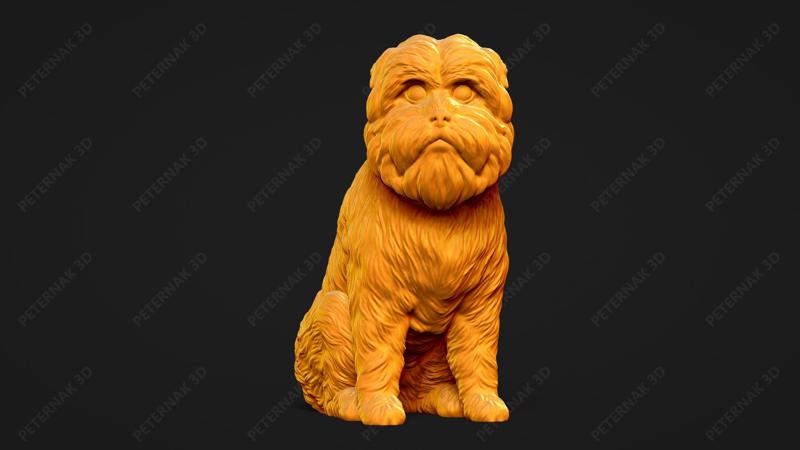 Affenpinscher Dog 3D Print Model Pose 06