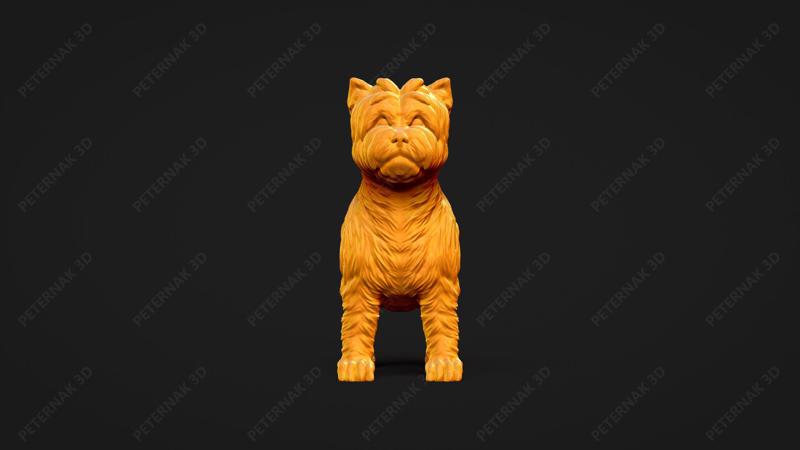 Cairn Terrier Dog 3D Print Model Pose 01
