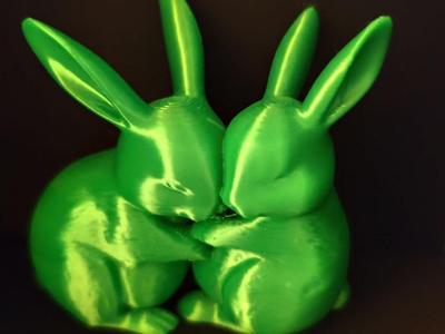 Cuddling Rabbit Couple