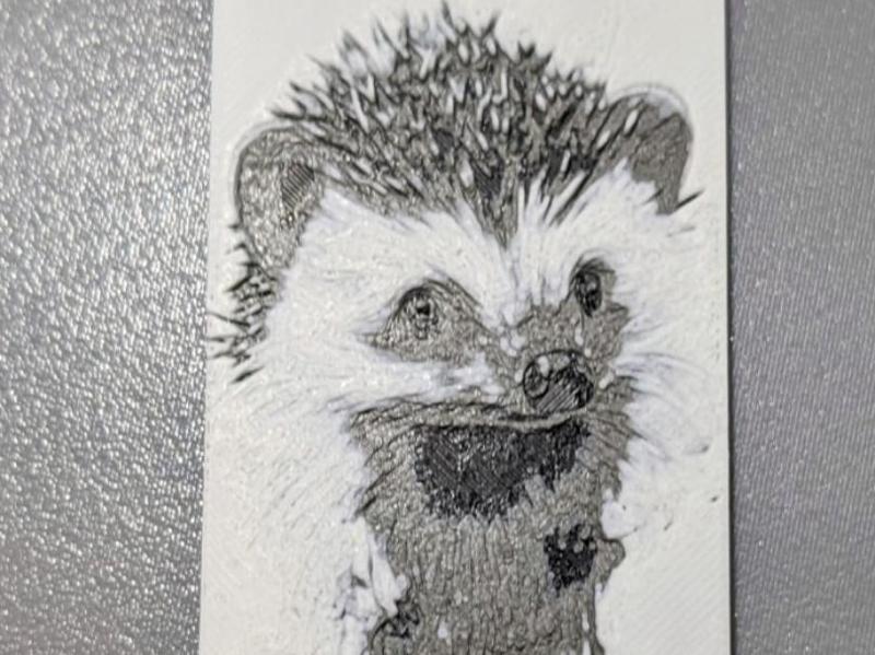 Hedgehog Bookmark