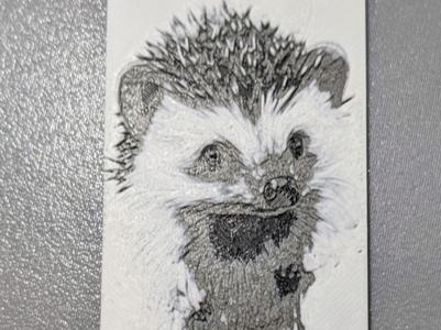 Hedgehog Bookmark