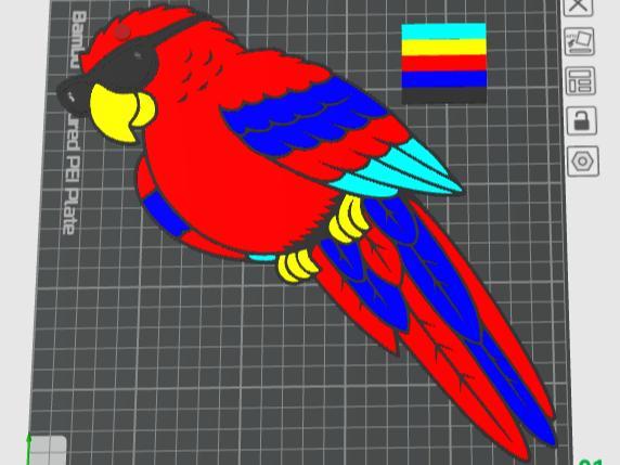 Macaw Bird of the Parrot Family