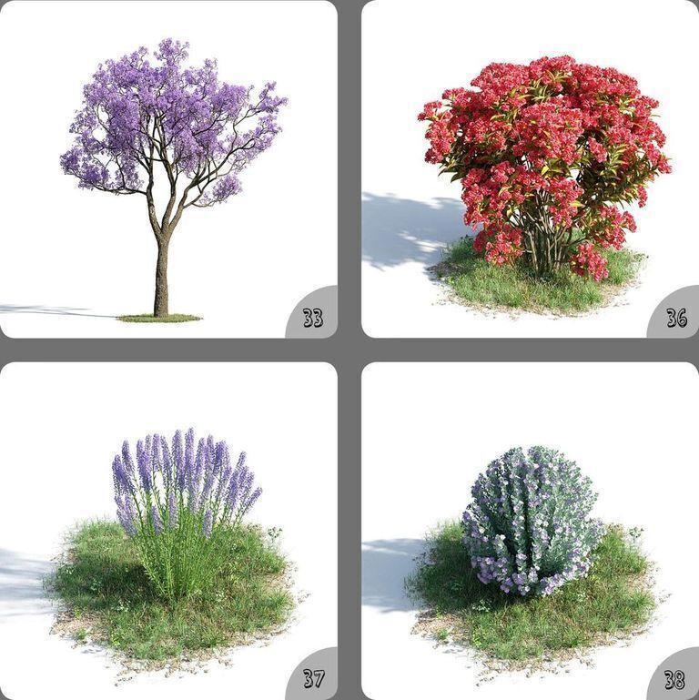 Beautiful Flowers Plant Flower 3D Decoration Home Model 33-36