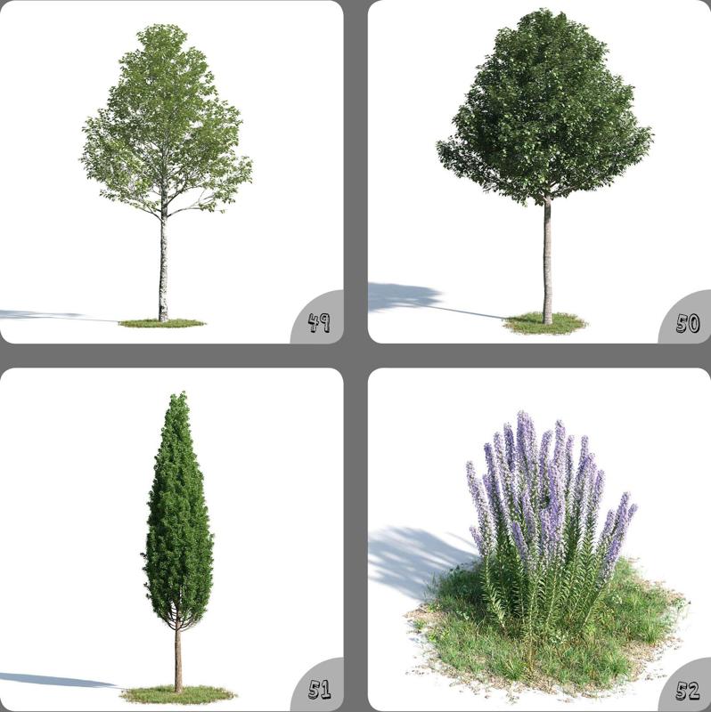 Plant Tree Green Pot Plant 3D Model 49-52