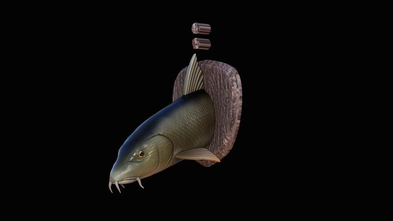 fish Common barbel / Barbus barbus head trophy woodbase statue detailed texture for 3d printing