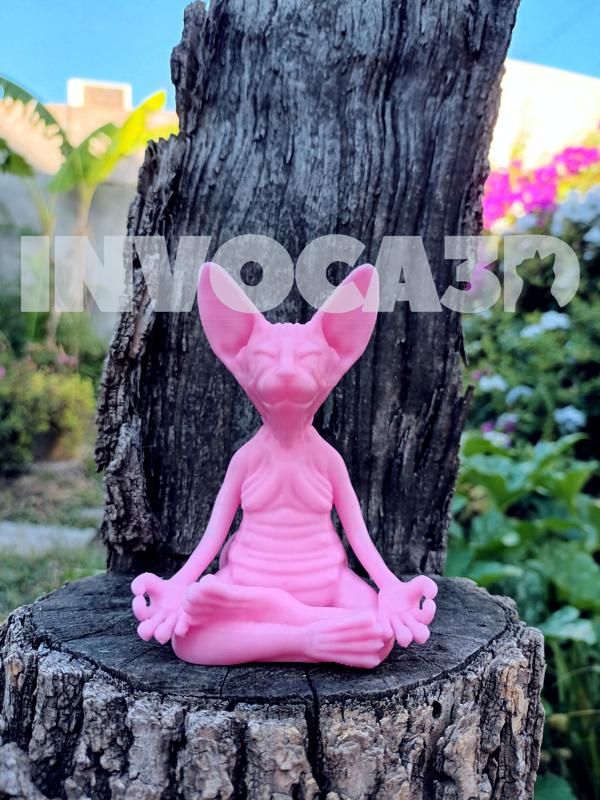 🐈 Zen Sphynx Cat – Meditation - BUDA🧘🏻
