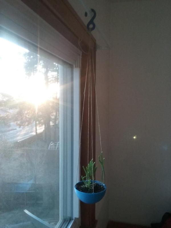 Hanging bowl flowerpot