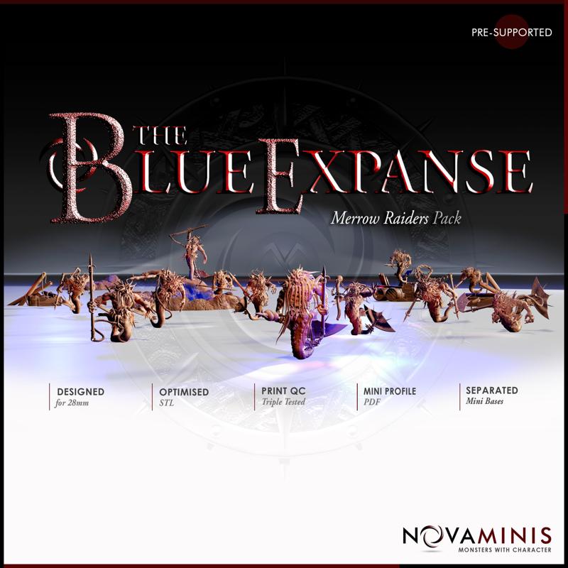 The Blue Expanse: Merrow Raiders