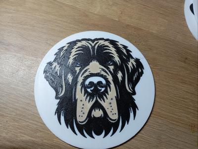 Mastiff coaster