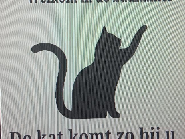 cat bathroom in dutch