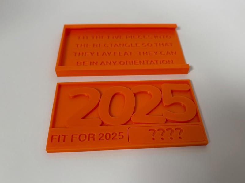 Fit For 2025 Packing Puzzle With Travel Case