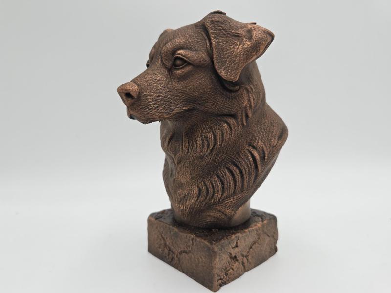 AUSTRALIAN SHEPHERD BUST