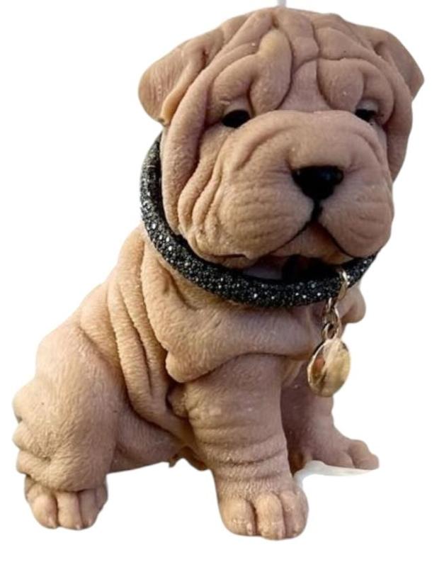 Sharpei