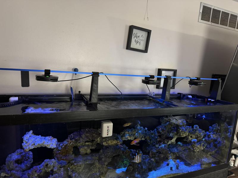 Aquarium Light Rail System