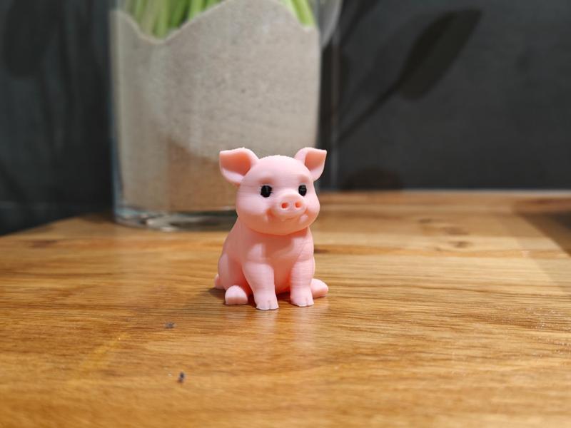 Sweet Little Pig