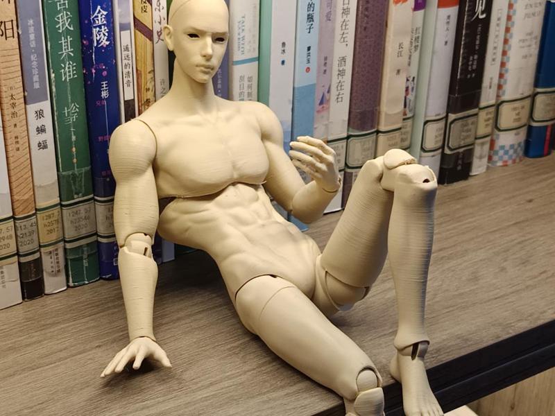 Articulated male human doll (assembly required)