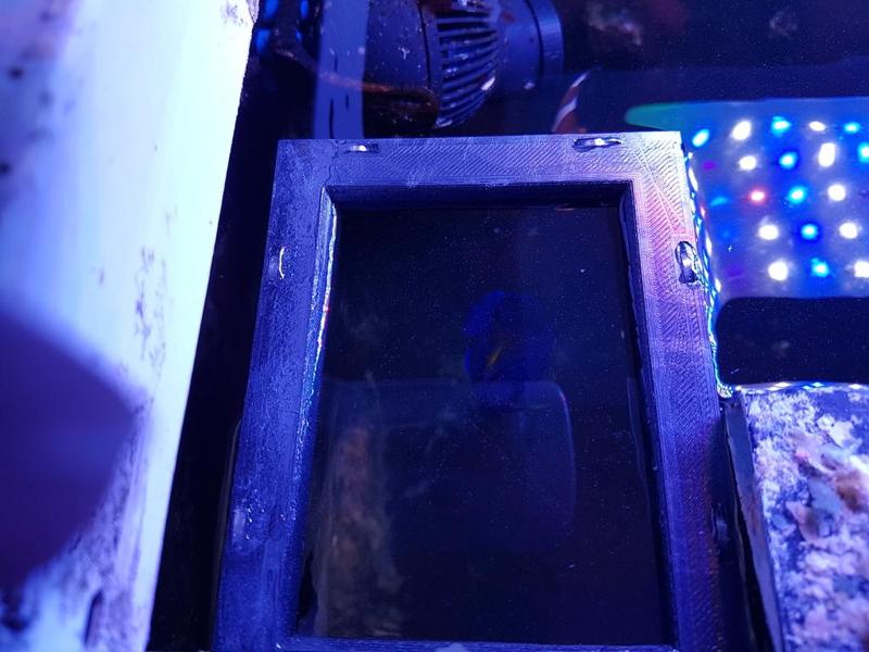 Aquarium feeding ring swimming Neodym