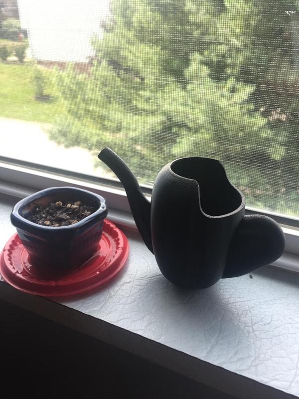 Mini Watering Can