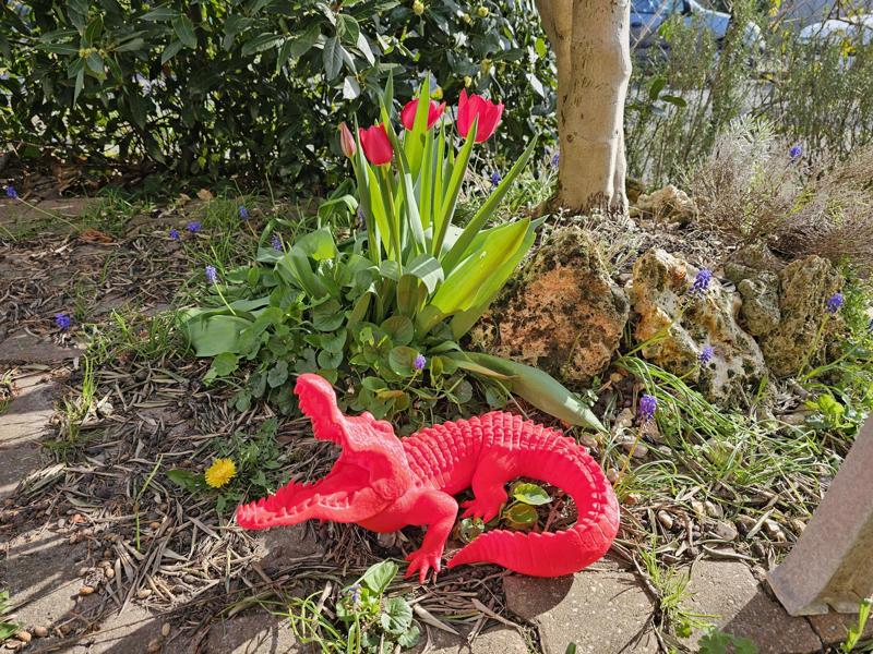 🐊Funny XXL crocodile for gardening lovers - Crocodile XXL pour les amateurs de jardin