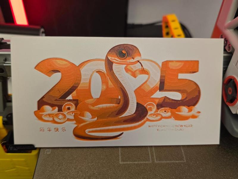 Year of the snake