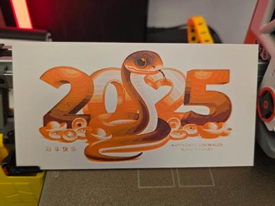 Year of the snake