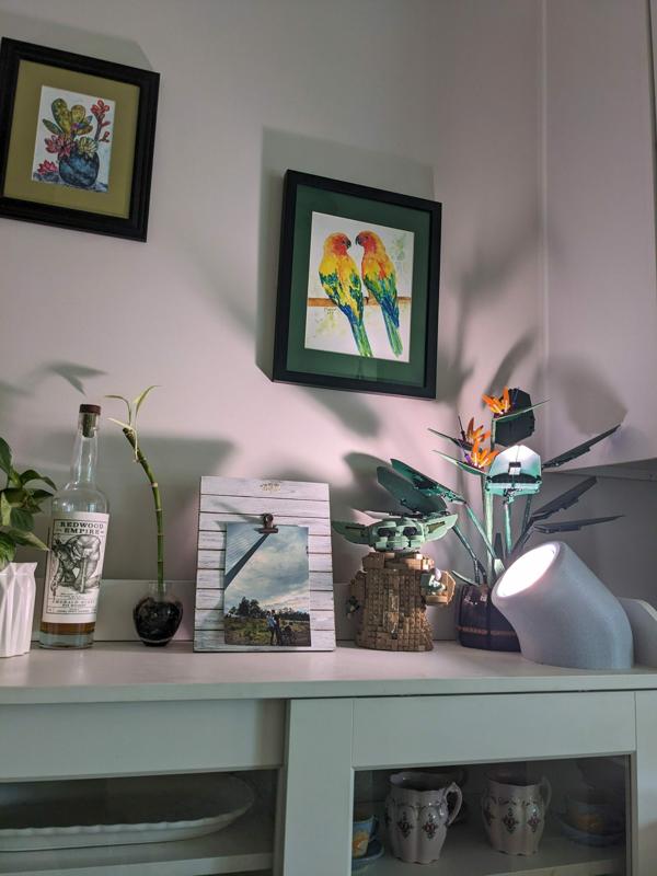 Pod Light for Ambient Lighting of Home and Plants