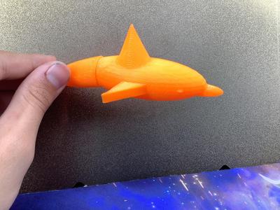 Flexi Dolphin