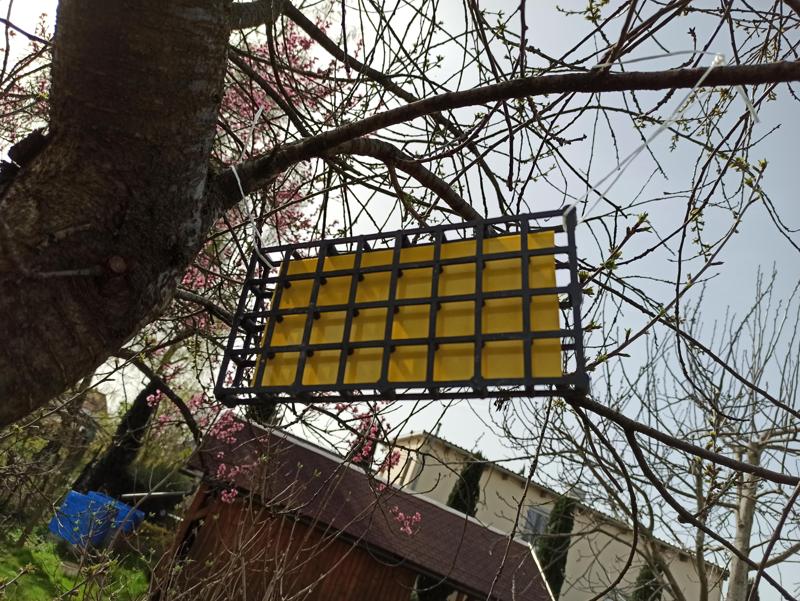 Bird Protection Grid [CUSTOMIZABLE]