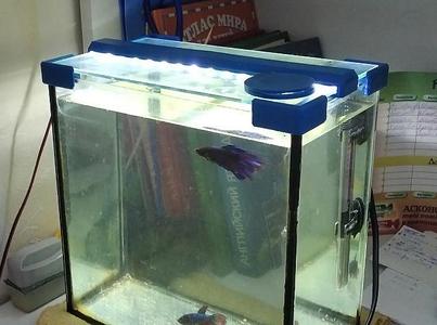 aquarium lamp