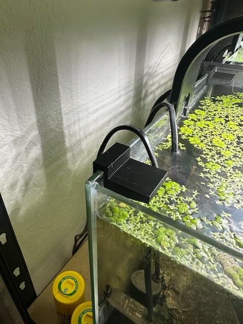 Scheibenhalter-Set 4mm für kleine Aquarien