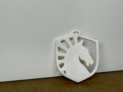 Team Liquid Esports Keychain