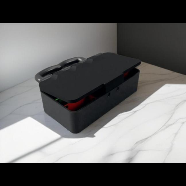 A Modulative Box for Fishing and Storage with Flexible Sliding Dividers Modulární box pro rybaření a skladování s flexibilními posuvnými přepážkami