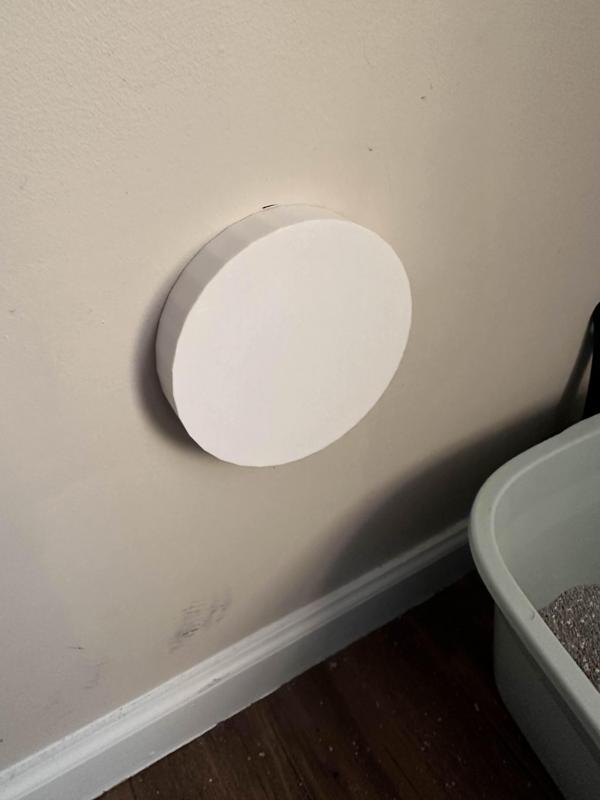 Dryer Vent Cap (Extension Cover)